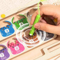 Magnetic Color Sorting Maze Toy