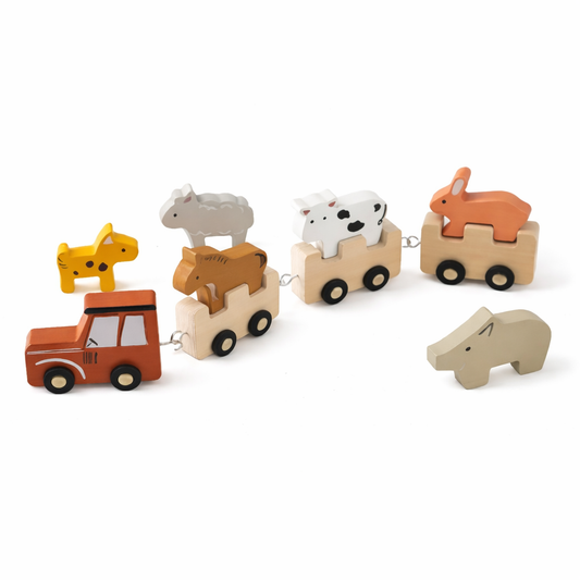 Montessori Wooden Train Toy Set