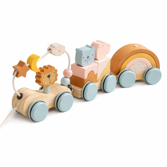 Wooden Montessori Toy Train