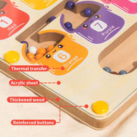 Magnetic Color Sorting Maze Toy