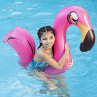 Flamingo Ride-On Pool Noodle Float – Inflatable Kids Swimming Pool Toy Lounger