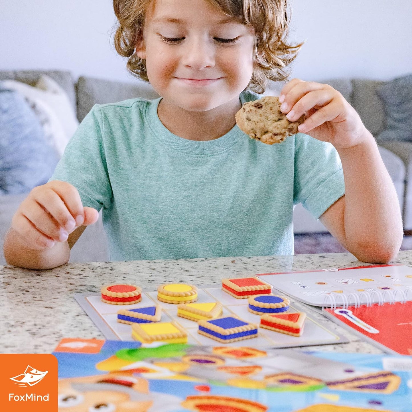 FoxMind Games - Smart Cookies Logic Puzzle Game